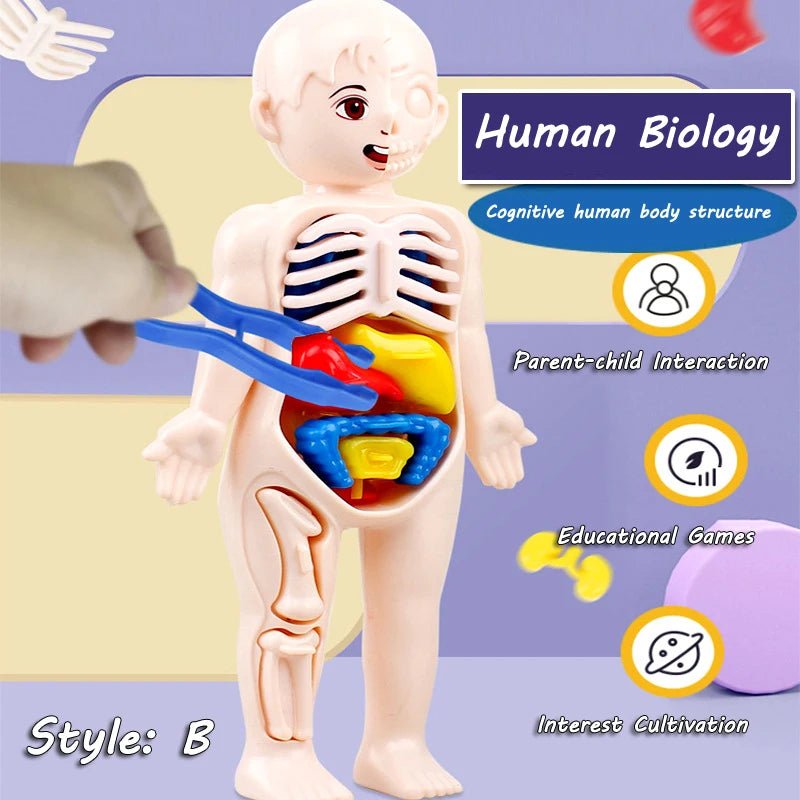 3D Montessori Human Body Puzzle & Learning Toy - Toys Market