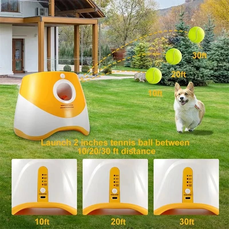 AutoPlay Rechargeable Dog Tennis Launcher - Toys Market