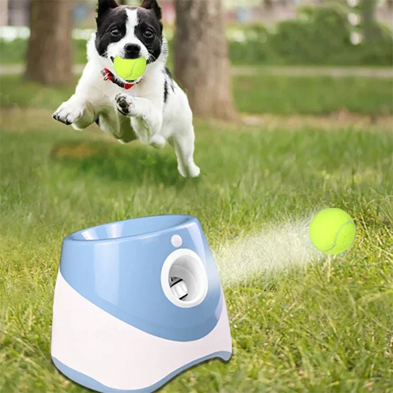 AutoPlay Rechargeable Dog Tennis Launcher - Toys Market