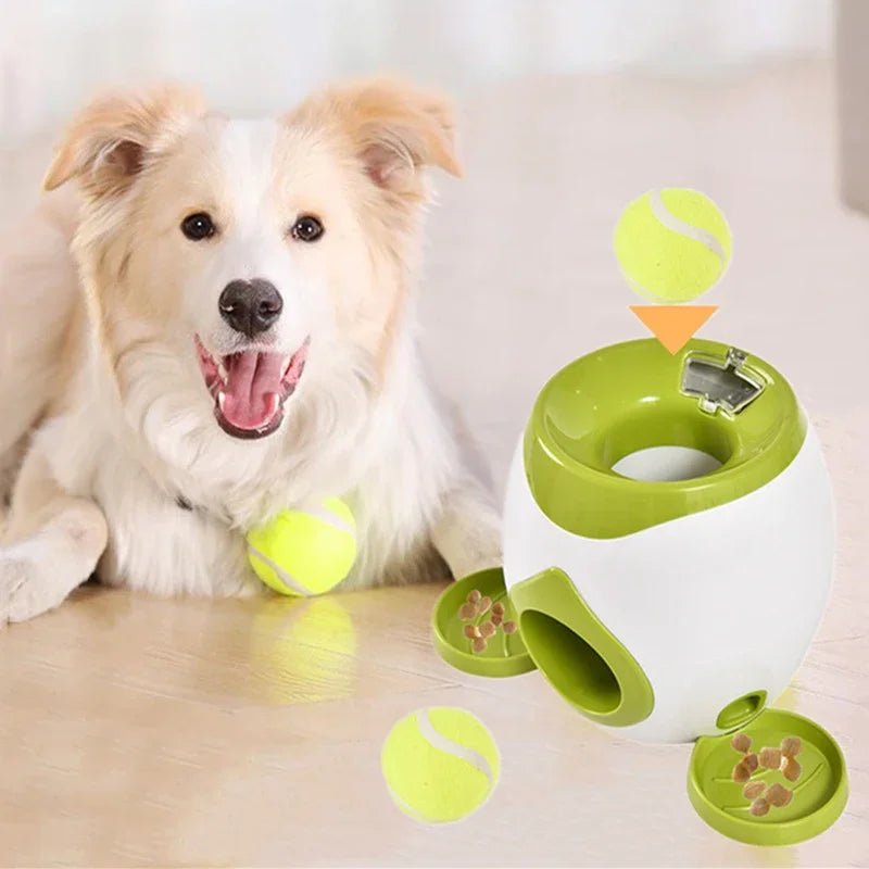 Fetch & Feast Interactive Pet Ball Launcher - Toys Market