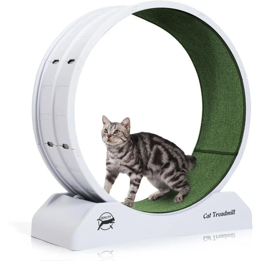 FitPaws Gray Cat Wheel – Easy Install For Indoor Feline Fitness! - Toys Market