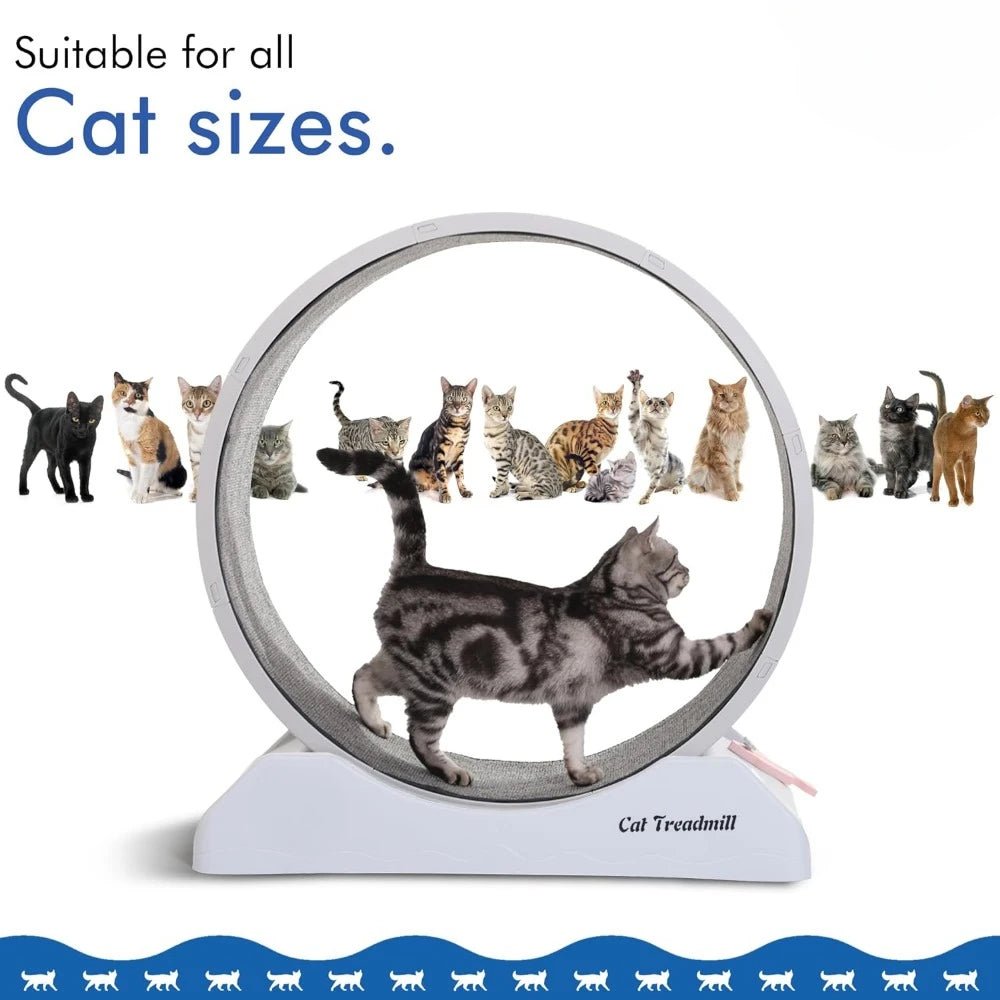 FitPaws Gray Cat Wheel – Easy Install For Indoor Feline Fitness! - Toys Market