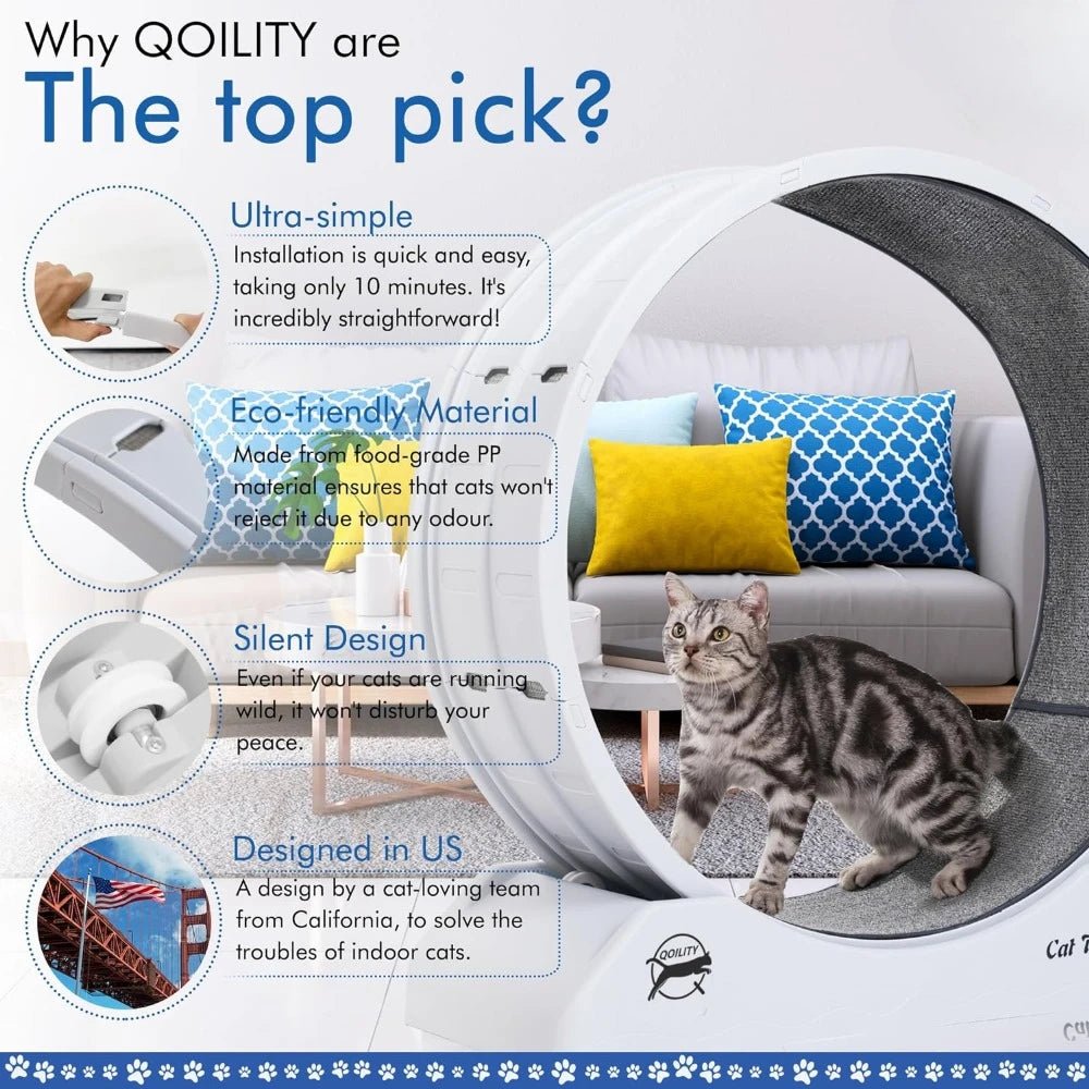 FitPaws Gray Cat Wheel – Easy Install For Indoor Feline Fitness! - Toys Market