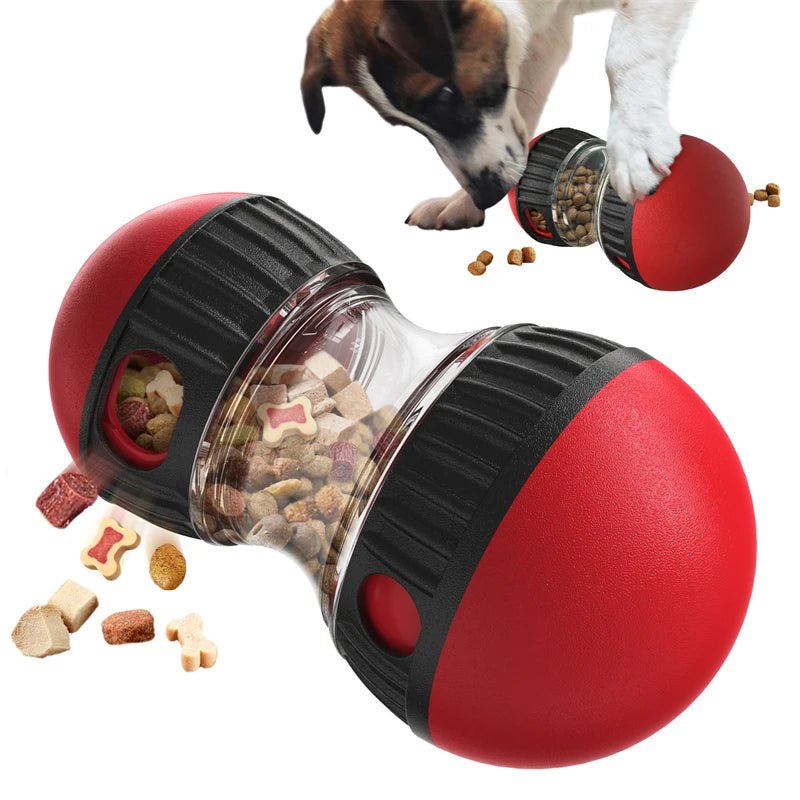 IntelliTrack Elliptical Rolling Ball Dog Toy - Toys Market