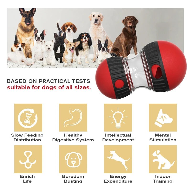 IntelliTrack Elliptical Rolling Ball Dog Toy - Toys Market