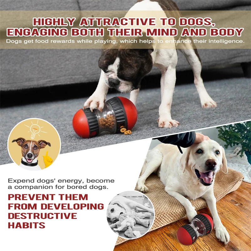 IntelliTrack Elliptical Rolling Ball Dog Toy - Toys Market