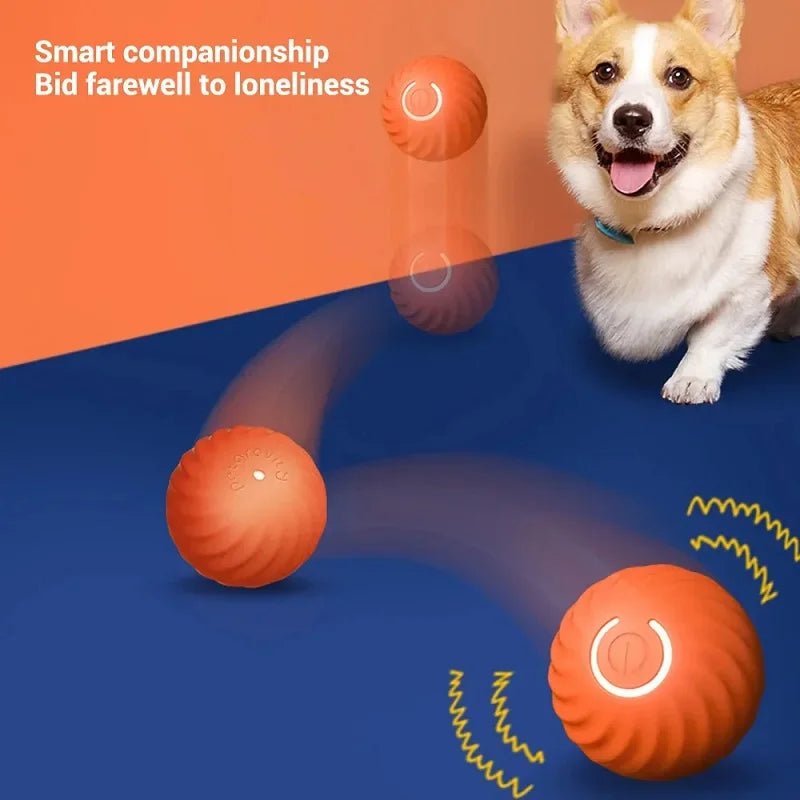 SmartBounce USB Interactive Dog Toy Ball - Toys Market