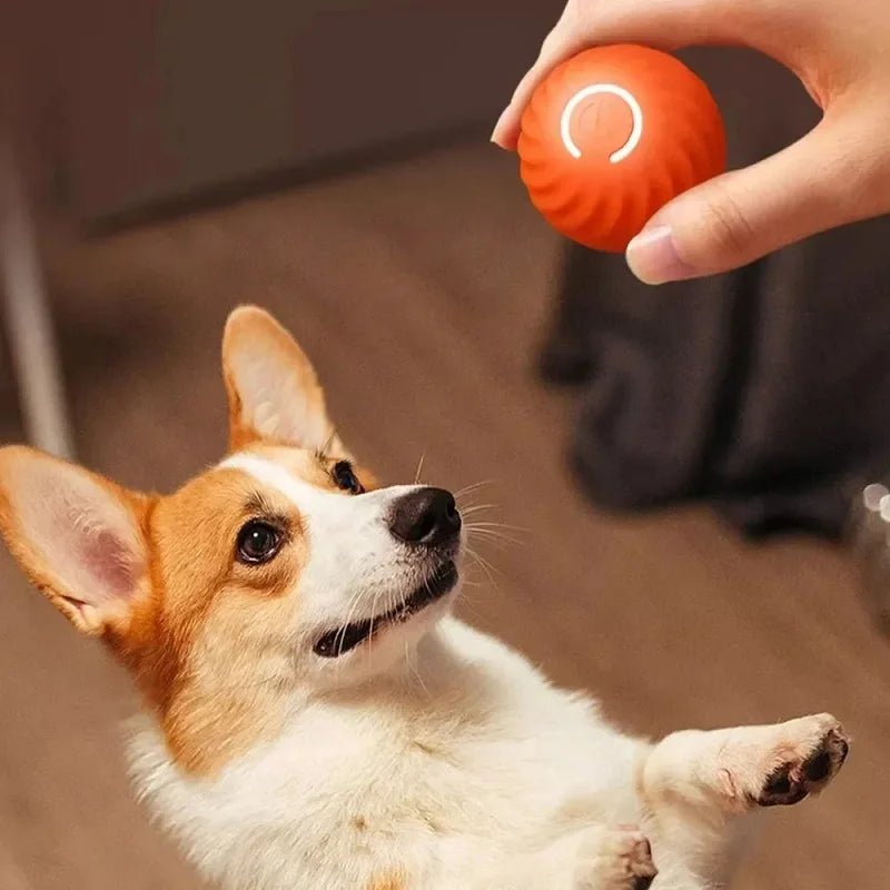 SmartBounce USB Interactive Dog Toy Ball - Toys Market