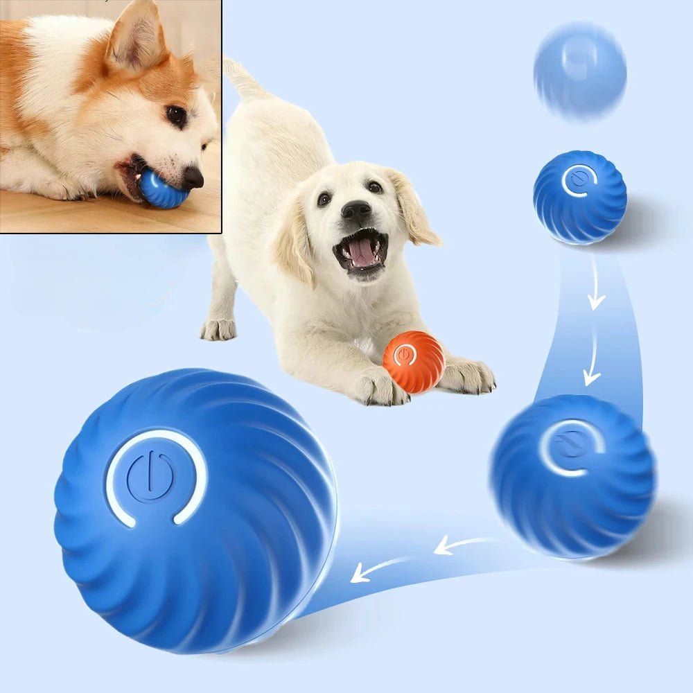 SmartBounce USB Interactive Dog Toy Ball - Toys Market